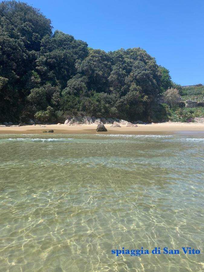 Michela Tra Cielo E Mare Hébergement de vacances *